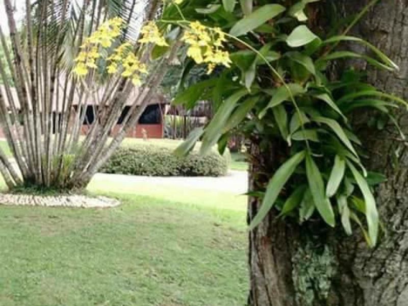 Foto 4 da clínica Clínica de Recuperação Masculina em Sorocaba (SP)