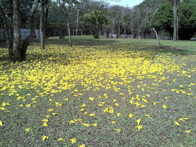 Foto 10 da clínica Clínica de Recuperação Masculina em Sorocaba (SP)