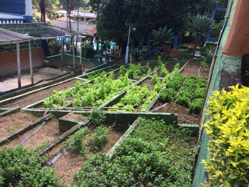 Foto 13 da clínica Clínica de Recuperação Masculina em Itu (SP)