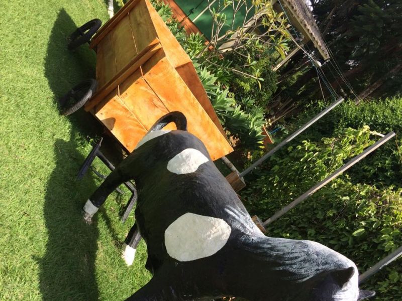 Foto 5 da clínica Clínica de Recuperação Masculina em Itu (SP)